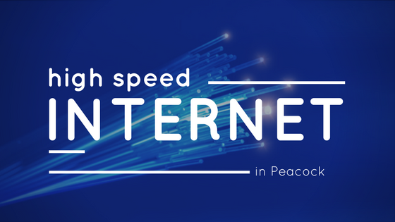 High speed internet in Peacock